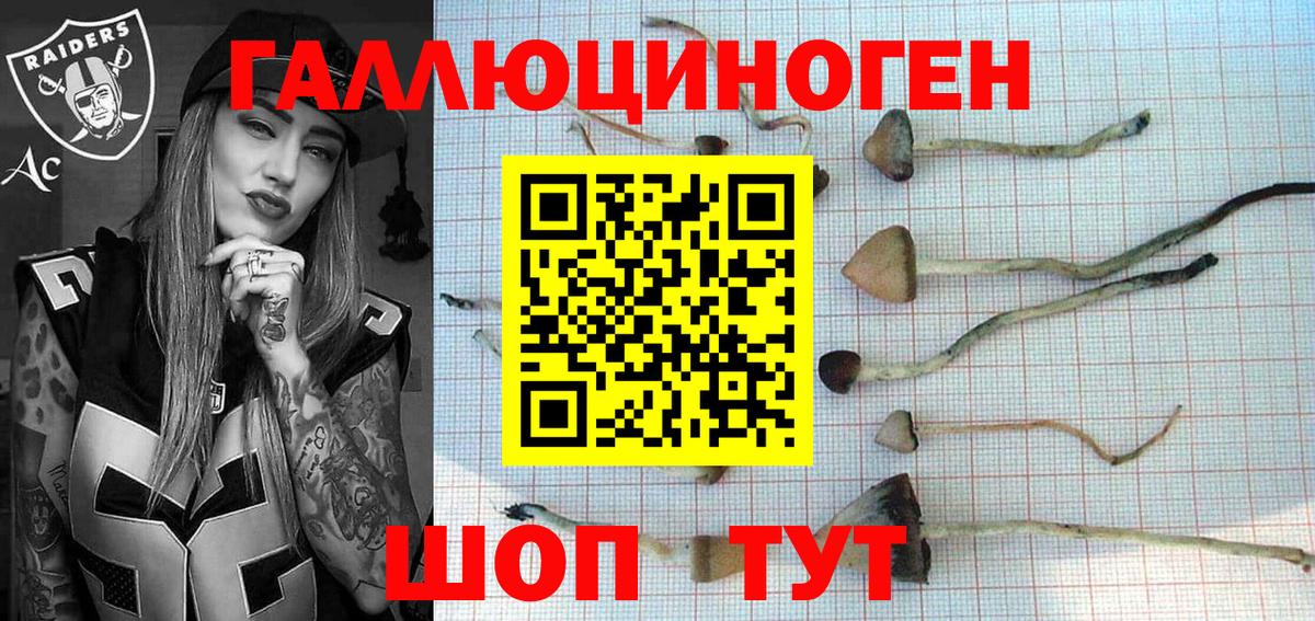 Галлюциногенные грибы ЛСД Губаха