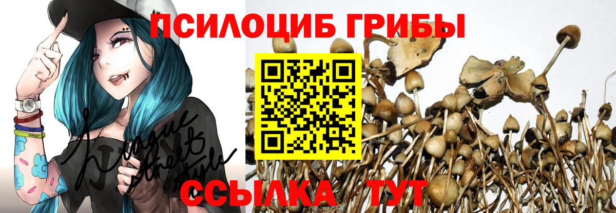 Губаха  Псилоцибиновые грибы мухоморы  Вход с VPN  Псилоцибиновые грибы прущие грибы 